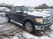 ✅ 2009 Ford F-150 XL • VIN: 1FTPW14V99FB36002 • Lot: 43814812. Listed on IAAI with Not provided. Free auction sales archive from the USA and detailed vehicle history report at DreamBid. Image 1.