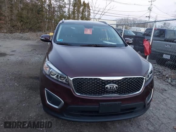 ✅ 2017 Kia Sorento LX • VIN: 5XYPGDA33HG237534 • Lot: 43889393. Listed on IAAI with 109,962 mi. Free auction sales archive from the USA and detailed vehicle history report at DreamBid. Image 12.