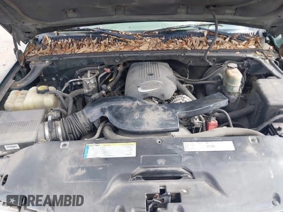 ✅ 2001 Chevrolet Suburban LT • VIN: 3GNEC16T01G230372 • Lot: 43638238. Wystawiony na IAAI z przebiegiem 237 639 mil. Bezpłatny archiwum sprzedaży aukcyjnych z USA i szczegółowy raport historii pojazdu na DreamBid. Zdjęcie 10.