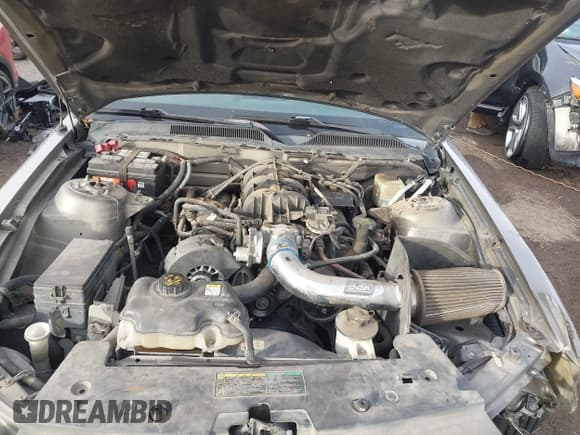 ✅ 2005 Ford Mustang Deluxe • VIN: 1ZVHT80N755107848 • Lot: 43667529. Listed on IAAI with 189,380 mi. Free auction sales archive from the USA and detailed vehicle history report at DreamBid. Image 10.