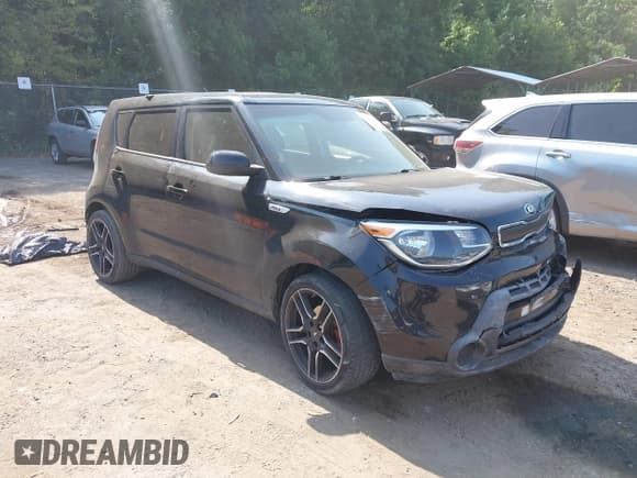 ✅ 2016 Kia Soul • VIN: KNDJN2A25G7373568 • Lot: 42819506. Listed on IAAI with 135,249 mi. Free auction sales archive from the USA and detailed vehicle history report at DreamBid. Image 1.