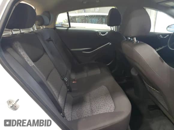 2019 Hyundai Ioniq с VIN KMHC75LH8KU048814, выставлен на аукционе Copart как лот 77227924 с пробегом 121 278 миль миль и Списание • Salvage title. История ставок и продаж доступна на DreamBid. Изображение 10.