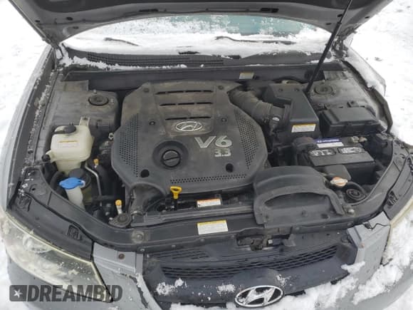 ✅ 2008 Hyundai Sonata SE • VIN: 5NPEU46F18H338356 • Lot: 88768535. Listed on Copart with 67,252 mi. Free auction sales archive from the USA and detailed vehicle history report at DreamBid. Image 11.
