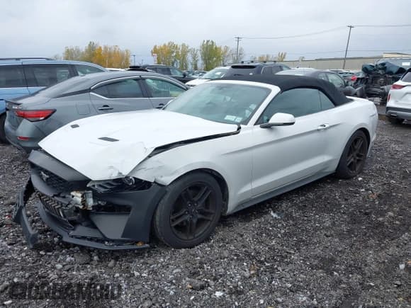 ✅ 2019 Ford Mustang EcoBoost Premium • VIN: 1FATP8UH8K5131213 • Lot: 43594613. Wystawiony na IAAI z przebiegiem 59 502 mil. Bezpłatny archiwum sprzedaży aukcyjnych z USA i szczegółowy raport historii pojazdu na DreamBid. Zdjęcie 2.