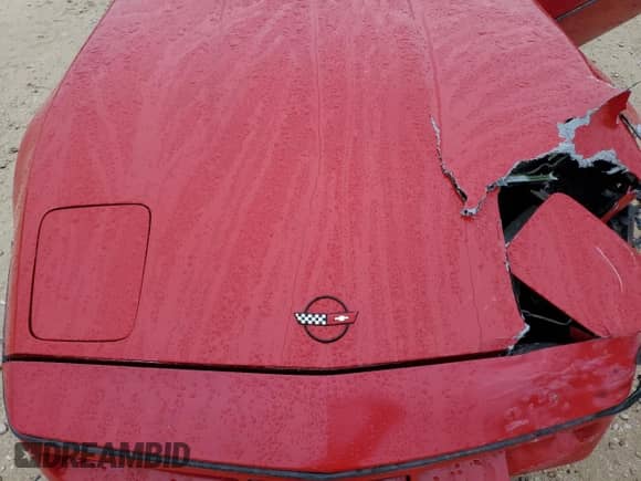 1985 Chevrolet Corvette with VIN 1G1YY0782F5138652, listed as a Copart auction lot 83541954 with 63,596 mi miles and Salvage title. Bid and sale history available at DreamBid. Image 11.