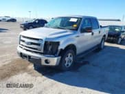 ✅ 2014 Ford F-150 XL • VIN: 1FTEW1CM6EKE26621 • Lot: 43555511. Listed on IAAI with 159,494 mi. Free auction sales archive from the USA and detailed vehicle history report at DreamBid. Image 2.