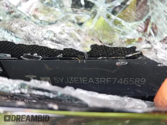 ✅ 2024 Tesla Model 3 • VIN: 5YJ3E1EA3RF746589 • Lot: 43211864. Wystawiony na IAAI z przebiegiem 11 116 mil. Bezpłatny archiwum sprzedaży aukcyjnych z USA i szczegółowy raport historii pojazdu na DreamBid. Zdjęcie 9.