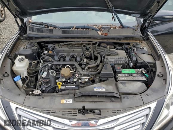 ✅ 2014 Hyundai Azera • VIN: KMHFG4JG5EA344011 • Lot: 95568545. Listed on Copart with 155,105 mi. Free auction sales archive from the USA and detailed vehicle history report at DreamBid. Image 11.