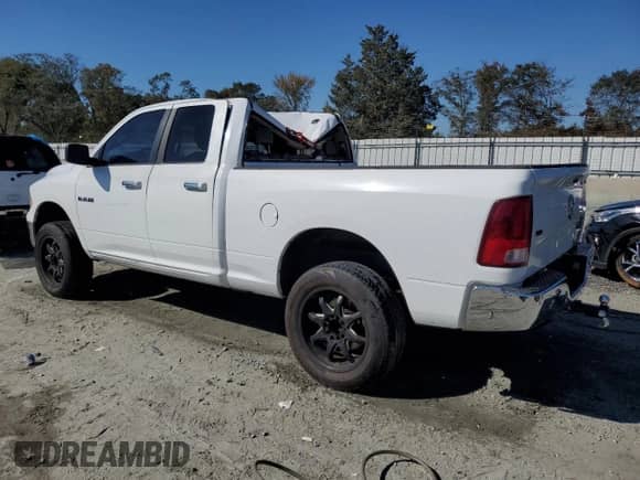 2010 Dodge 1500 ST with VIN 1D7RB1GP7AS154484, listed as a Copart auction lot 77488534 with 159,969 mi miles and Salvage title. Bid and sale history available at DreamBid. Image 2.