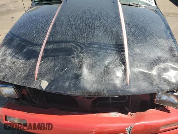 1997 Chevrolet Blazer with VIN 1GNCT18W0VK171160, listed as a Copart auction lot 80494125 with 207,795 mi miles and Salvage title. Bid and sale history available at DreamBid. Image 12.