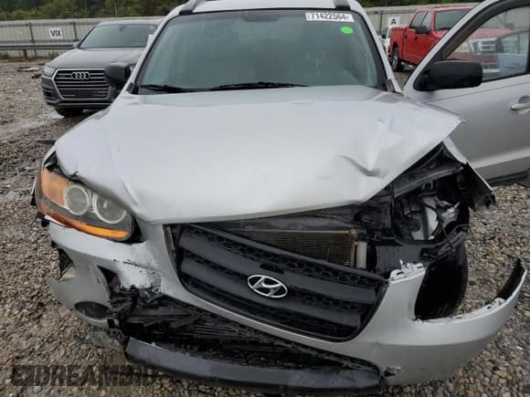 ✅ 2009 Hyundai Santa Fe GLS • VIN: 5NMSG13D19H323592 • Lot: 71422564. Listed on Copart with 193,786 mi. Free auction sales archive from the USA and detailed vehicle history report at DreamBid. Image 11.