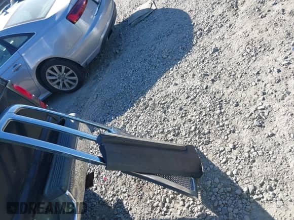 2001 Dodge 1500 with VIN 3B7HC13Y41G703079, listed as a IAAI auction lot 43487655 with 217,859 mi miles and . Bid and sale history available at DreamBid. Image 12.