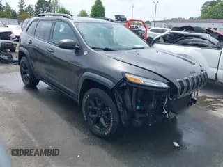 ✅ 2016 Jeep Cherokee Trailhawk • VIN: 1C4PJMBS6GW252960 • Lot: 41979653. Listed on IAAI with 94,343 mi. Free auction sales archive from the USA and detailed vehicle history report at DreamBid. Image 1.