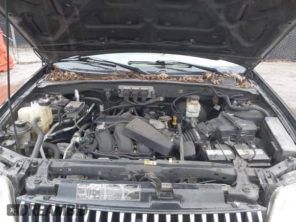 2005 Mercury Mariner Luxury с VIN 4M2YU56175DJ04628, выставлен на аукционе IAAI как лот 43513803 с пробегом 139 688 миль миль и . История ставок и продаж доступна на DreamBid. Изображение 10.