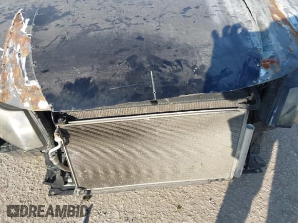 ✅ 2012 Honda Civic Si • VIN: 2HGFG4A55CH706860 • Lot: 43858596. Listed on IAAI with 287,395 mi. Free auction sales archive from the USA and detailed vehicle history report at DreamBid. Image 19.