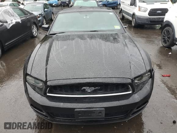 2014 Ford Mustang V6 с VIN 1ZVBP8AM6E5314618, выставлен на аукционе Copart как лот 85578705 с пробегом 185 934 миль миль и Списание • Salvage title. История ставок и продаж доступна на DreamBid. Изображение 5.