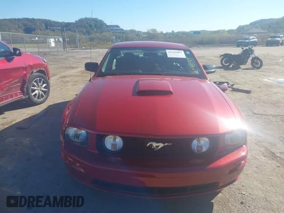 ✅ 2008 Ford Mustang GT Deluxe • VIN: 1ZVHT82H685120215 • Lot: 43426887. Listed on IAAI with 77,034 mi. Free auction sales archive from the USA and detailed vehicle history report at DreamBid. Image 13.