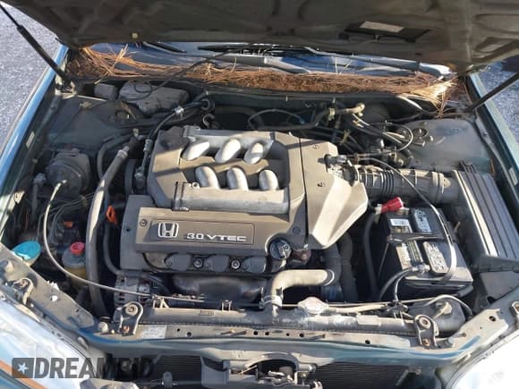 ✅ 2000 Honda Accord EX • VIN: 1HGCG1657YA073410 • Lot: 43819519. Wystawiony na IAAI z przebiegiem 189 219 mil. Bezpłatny archiwum sprzedaży aukcyjnych z USA i szczegółowy raport historii pojazdu na DreamBid. Zdjęcie 10.