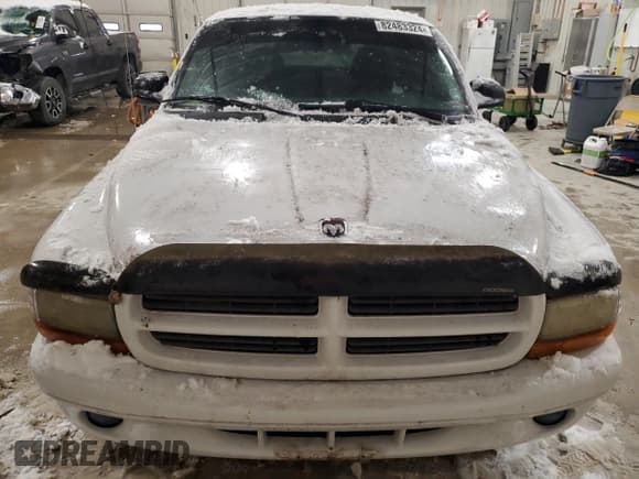 ✅ 2001 Dodge Dakota • VIN: 1B7GL22X11S301541 • Lot: 82483324. Wystawiony na Copart z przebiegiem 43 297 mil. Bezpłatny archiwum sprzedaży aukcyjnych z USA i szczegółowy raport historii pojazdu na DreamBid. Zdjęcie 5.
