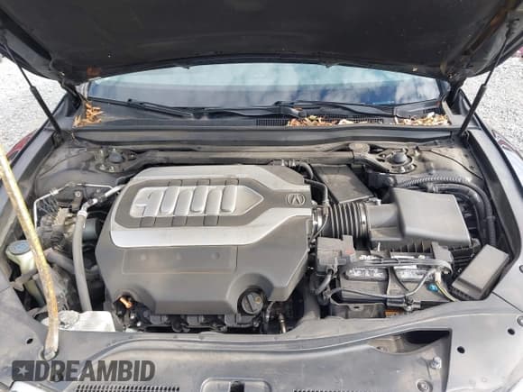 ✅ 2014 Acura RLX Technology • VIN: JH4KC1F50EC002098 • Lot: 42942692. Wystawiony na IAAI z przebiegiem 192 609 mil. Bezpłatny archiwum sprzedaży aukcyjnych z USA i szczegółowy raport historii pojazdu na DreamBid. Zdjęcie 10.