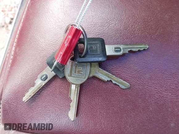 ✅ 1990 Cadillac Eldorado • VIN: 1G6EL1333LU608572 • Lot: 42191060. Listed on IAAI with 105,433 mi. Free auction sales archive from the USA and detailed vehicle history report at DreamBid. Image 11.