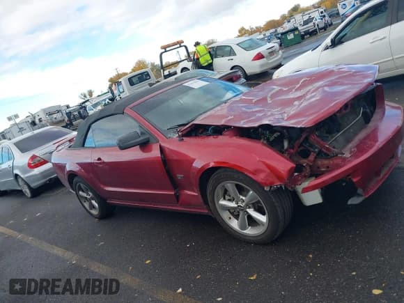 ✅ 2006 Ford Mustang GT Deluxe • VIN: 1ZVHT85H365242880 • Lot: 43632803. Listed on IAAI with Not provided. Free auction sales archive from the USA and detailed vehicle history report at DreamBid. Image 13.