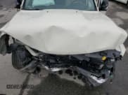 ✅ 2010 Dodge 1500 SLT • VIN: 1D7RV1CT1AS227326 • Lot: 44240065. Wystawiony na Copart z przebiegiem Nie podano. Bezpłatny archiwum sprzedaży aukcyjnych z USA i szczegółowy raport historii pojazdu na DreamBid. Zdjęcie 12.