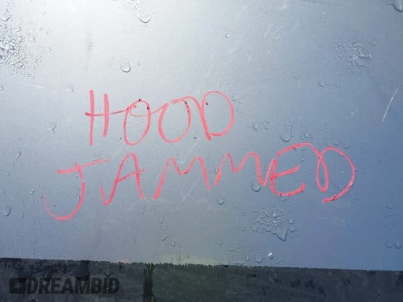 ✅ 2008 Hyundai Sonata GLS • VIN: 5NPET46CX8H345797 • Лот: 41427357. Опубликован ранее на IAAI с пробегом Не указан. Бесплатный доступ к архиву аукционных продаж из США и подробный отчёт об истории автомобиля на DreamBid. Изображение 10.