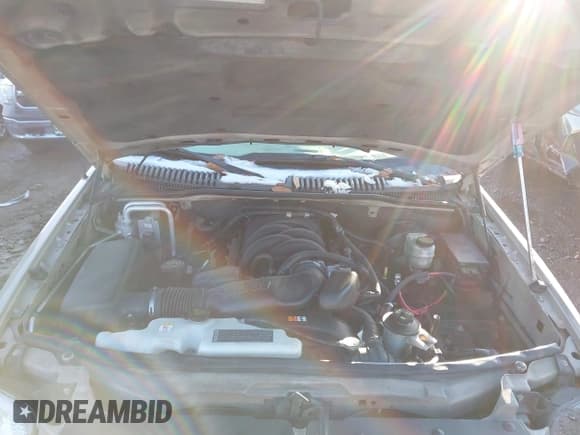 ✅ 2007 Ford Explorer Sport Trac Limited • VIN: 1FMEU53807UA23690 • Лот: 43640683. Опубликован ранее на IAAI с пробегом Не указан. Бесплатный доступ к архиву аукционных продаж из США и подробный отчёт об истории автомобиля на DreamBid. Изображение 10.