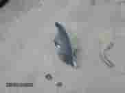 2018 Chevrolet Tahoe Premier with VIN 1GNSCCKJ5JR354222, listed as a Copart auction lot 63636604 with Not provided miles and Salvage title. Bid and sale history available at DreamBid. Image 13.