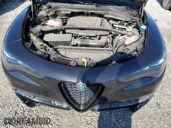 ✅ 2024 Alfa Romeo Stelvio Ti • VIN: ZASPAKBN3R7D79474 • Лот: 50245995. Опубликован ранее на Copart с пробегом 14 558 миль. Бесплатный доступ к архиву аукционных продаж из США и подробный отчёт об истории автомобиля на DreamBid. Изображение 12.