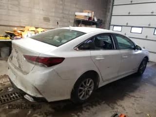 ✅ 2019 Hyundai Sonata SE • VIN: 5NPE24AF9KH758547 • Лот: 40025793. Опубликован ранее на Copart с пробегом 18 497 миль. Бесплатный доступ к архиву аукционных продаж из США и подробный отчёт об истории автомобиля на DreamBid. Изображение 3.