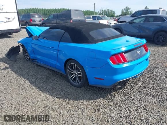 ✅ 2017 Ford Mustang EcoBoost Premium • VIN: 1FATP8UHXH5320504 • Lot: 42210241. Wystawiony na IAAI z przebiegiem Nie podano. Bezpłatny archiwum sprzedaży aukcyjnych z USA i szczegółowy raport historii pojazdu na DreamBid. Zdjęcie 3.