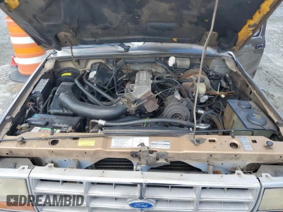 ✅ 1989 Ford Ranger • VIN: 1FTCR10T4KUC16349 • Лот: 67657855. Опубликован ранее на Copart с пробегом 46 227 миль. Бесплатный доступ к архиву аукционных продаж из США и подробный отчёт об истории автомобиля на DreamBid. Изображение 11.