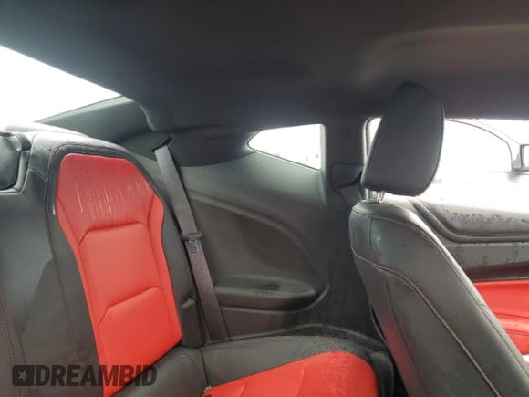 ✅ 2017 Chevrolet Camaro 2LT • VIN: 1G1FD1RSXH0116304 • Lot: 55969415. Listed on Copart with 24,164 mi. Free auction sales archive from the USA and detailed vehicle history report at DreamBid. Image 10.