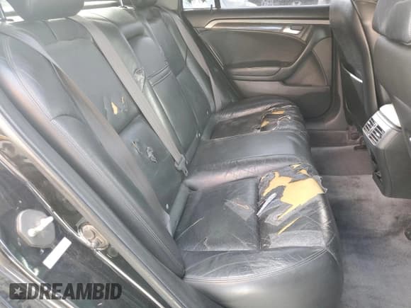 ✅ 2007 Acura TL • VIN: 19UUA66297A004967 • Lot: 86695525. Listed on Copart with 225,664 mi. Free auction sales archive from the USA and detailed vehicle history report at DreamBid. Image 10.