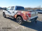 ✅ 2011 Ford F-150 XLT • VIN: 1FTFW1EF0BFB11059 • Lot: 43905361. Listed on IAAI with 290,277 mi. Free auction sales archive from the USA and detailed vehicle history report at DreamBid. Image 3.