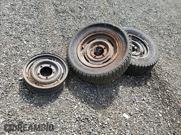 ✅ 1983 Mercedes-Benz 240 • VIN: WDBAB23A0DB409512 • Lot: 58252825. Wystawiony na Copart z przebiegiem 324 326 mil. Bezpłatny archiwum sprzedaży aukcyjnych z USA i szczegółowy raport historii pojazdu na DreamBid. Zdjęcie 12.