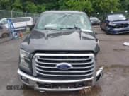 ✅ 2016 Ford F-150 XLT • VIN: 1FTEW1EP5GFA69130 • Lot: 42585487. Wystawiony na IAAI z przebiegiem Nie podano. Bezpłatny archiwum sprzedaży aukcyjnych z USA i szczegółowy raport historii pojazdu na DreamBid. Zdjęcie 12.