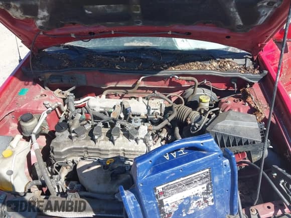 ✅ 2005 Nissan Sentra S • VIN: 3N1CB51D45L507888 • Lot: 41722214. Wystawiony na IAAI z przebiegiem 122 624 mil. Bezpłatny archiwum sprzedaży aukcyjnych z USA i szczegółowy raport historii pojazdu na DreamBid. Zdjęcie 10.