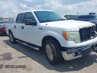✅ 2011 Ford F-150 XL • VIN: 1FTEW1CM0BFA40006 • Lot: 42910556. Listed on IAAI with Not provided. Free auction sales archive from the USA and detailed vehicle history report at DreamBid. Image 1.