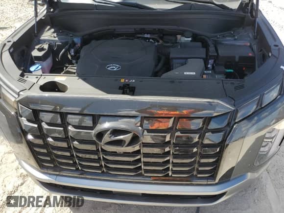 ✅ 2025 Hyundai Palisade Limited • VIN: KM8R54GE3SU907947 • Лот: 65612995. Размещён на Copart с пробегом 4 557 миль миль. Получите бесплатный доступ к архиву аукционных продаж из США и посмотрите подробный отчёт об истории автомобиля на DreamBid. Изображение 12.