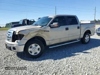 ✅ 2010 Ford F-150 XL • VIN: 1FTEW1C83AFC81284 • Лот: 86145235. Опубликован ранее на Copart с пробегом 212 121 миль. Бесплатный доступ к архиву аукционных продаж из США и подробный отчёт об истории автомобиля на DreamBid. Изображение 1.