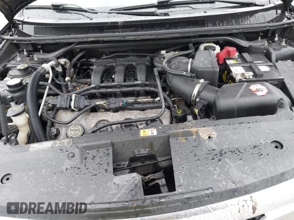 ✅ 2008 Ford Taurus X Eddie Bauer • VIN: 1FMDK08W58GA18903 • Лот: 42552380. Опубликован ранее на IAAI с пробегом 164 633 миль. Бесплатный доступ к архиву аукционных продаж из США и подробный отчёт об истории автомобиля на DreamBid. Изображение 10.