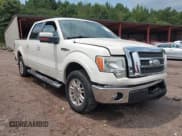 ✅ 2009 Ford F-150 XL • VIN: 1FTPW12V59FA51063 • Lot: 42894665. Wystawiony na IAAI z przebiegiem 135 111 mil. Bezpłatny archiwum sprzedaży aukcyjnych z USA i szczegółowy raport historii pojazdu na DreamBid. Zdjęcie 1.