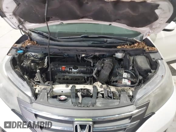 ✅ 2014 Honda CR-V EX • VIN: 5J6RM4H58EL078481 • Lot: 43638595. Listed on IAAI with 219,545 mi. Free auction sales archive from the USA and detailed vehicle history report at DreamBid. Image 10.