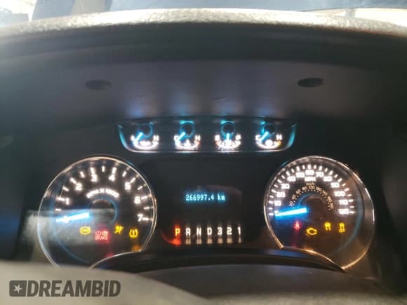 ✅ 2013 Ford F-150 XL • VIN: 1FTEX1EM5DFD12532 • Lot: 49835985. Wystawiony na Copart z przebiegiem 165 904 mil. Bezpłatny archiwum sprzedaży aukcyjnych z USA i szczegółowy raport historii pojazdu na DreamBid. Zdjęcie 9.