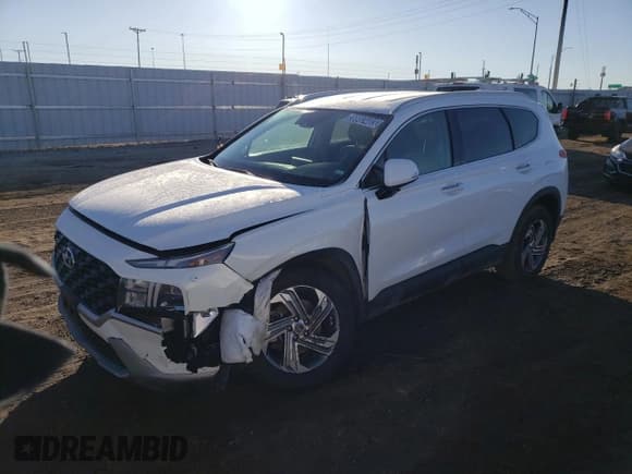 ✅ 2023 Hyundai Santa Fe SEL • VIN: 5NMS2DAJ4PH509469 • Лот: 39983403. Опубликован ранее на Copart с пробегом 3 371 миль. Бесплатный доступ к архиву аукционных продаж из США и подробный отчёт об истории автомобиля на DreamBid. Изображение 1.