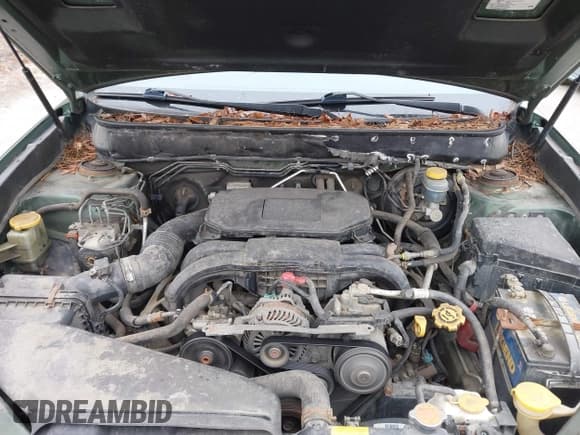 ✅ 2010 Subaru Outback Limited Power Moon • VIN: 4S4BRBKC9A3352264 • Lot: 43570987. Wystawiony na IAAI z przebiegiem 162 108 mil. Bezpłatny archiwum sprzedaży aukcyjnych z USA i szczegółowy raport historii pojazdu na DreamBid. Zdjęcie 10.