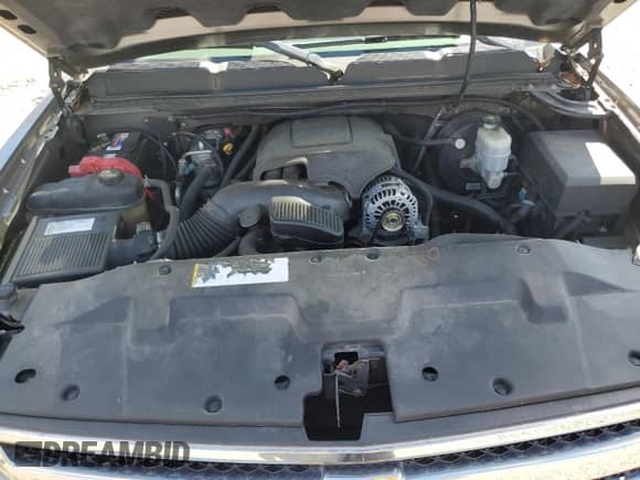 2009 Chevrolet Silverado 1500 LS with VIN 3GCEK13C19G156200, listed as a Copart auction lot 70571045 with 217,642 mi miles and Clean title. Bid and sale history available at DreamBid. Image 11.